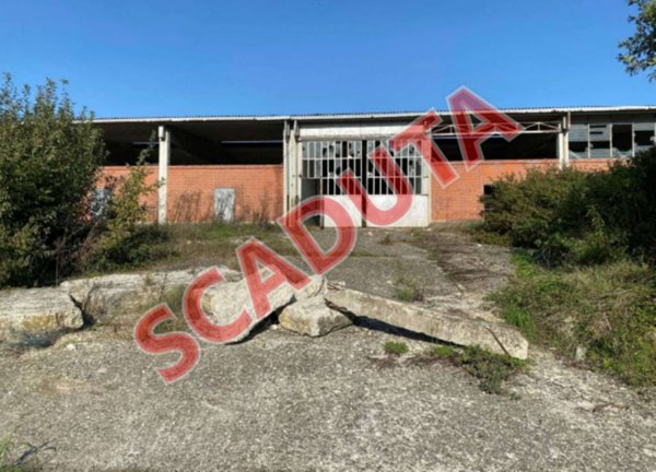 immagine annuncio 0 di 10