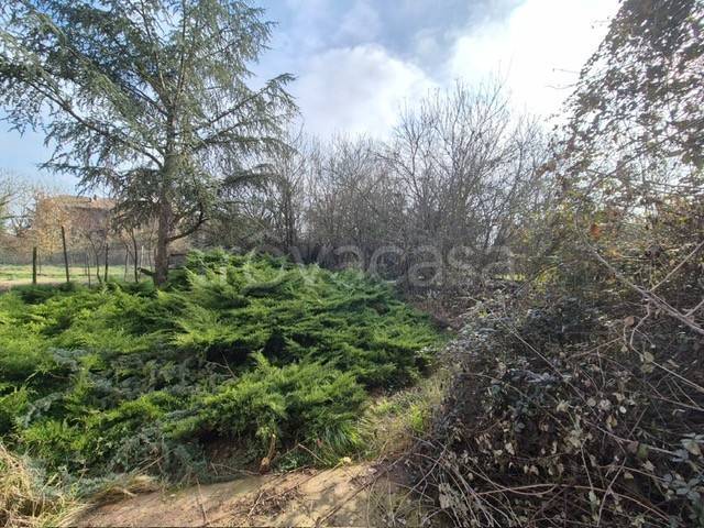 terreno agricolo in vendita a Castelletto Monferrato in zona Giardinetto