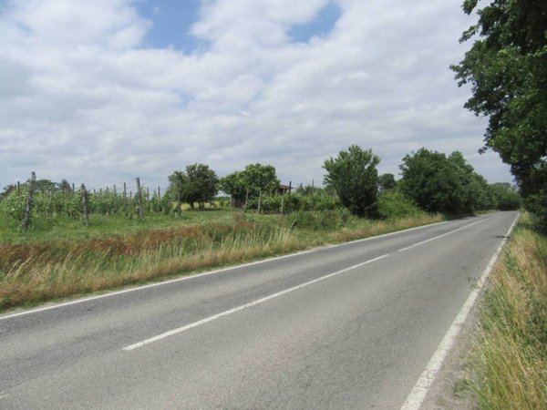 terreno agricolo in vendita a Castelnuovo Bormida