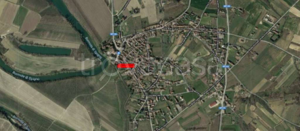 negozio in vendita a Castelnuovo Bormida