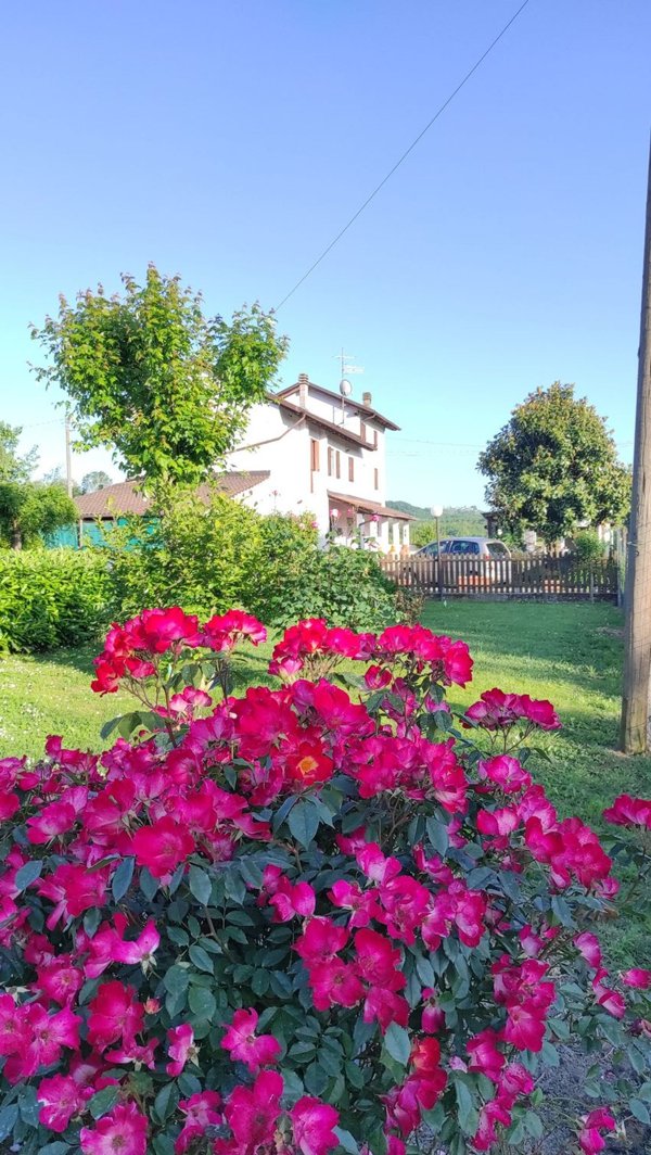 casa indipendente in vendita a Castelnuovo Bormida