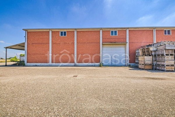 locale commerciale in vendita a Castelnuovo Scrivia