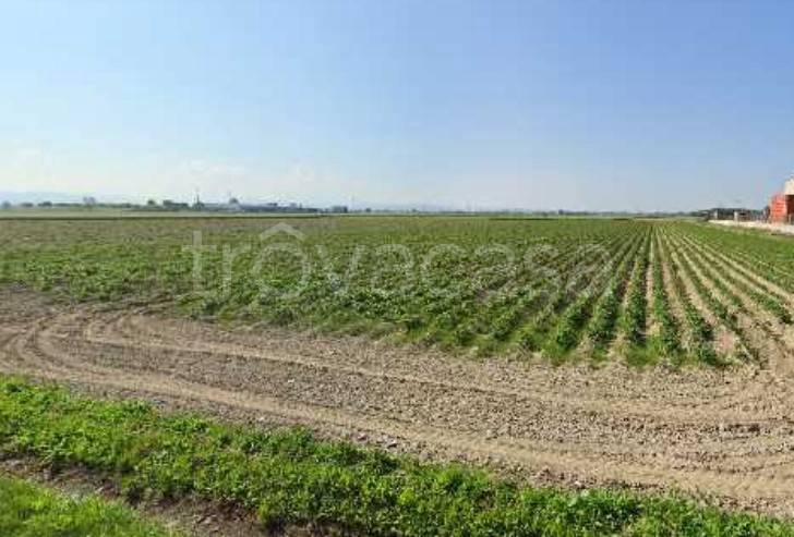 ufficio in vendita a Castelnuovo Scrivia