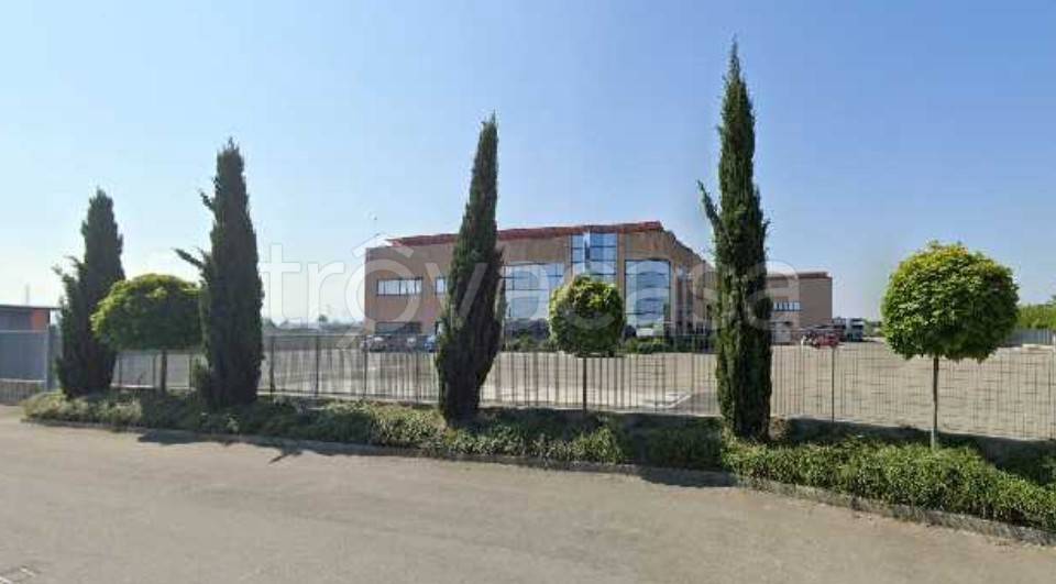 locale commerciale in vendita a Castelnuovo Scrivia