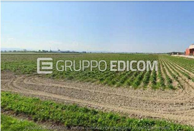 terreno agricolo in vendita a Castelnuovo Scrivia