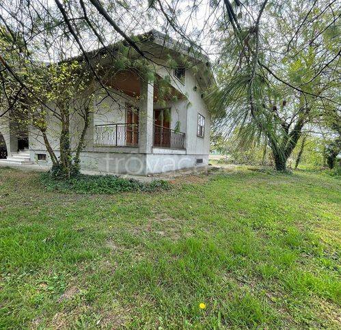 casa indipendente in vendita a Castelnuovo Scrivia