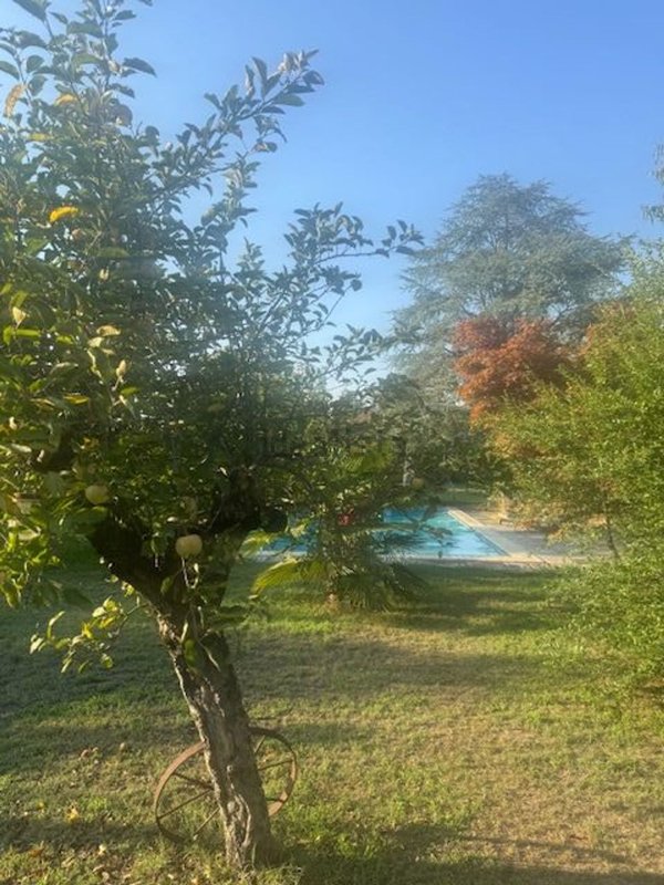 casa indipendente in vendita a Castelnuovo Scrivia