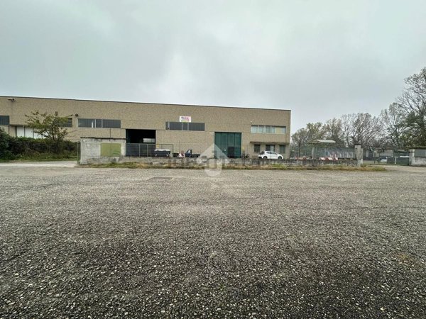 immagine annuncio 0 di 15