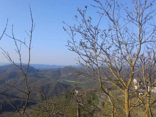 casa indipendente in vendita a Cavatore