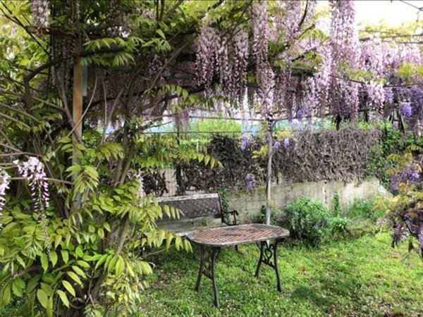 casa indipendente in vendita a Coniolo