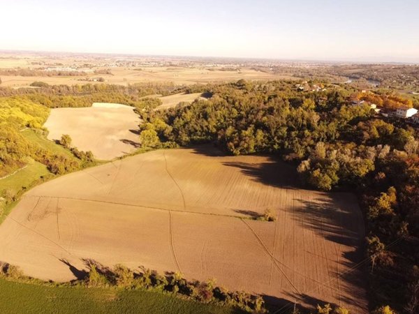 terreno agricolo in vendita a Coniolo