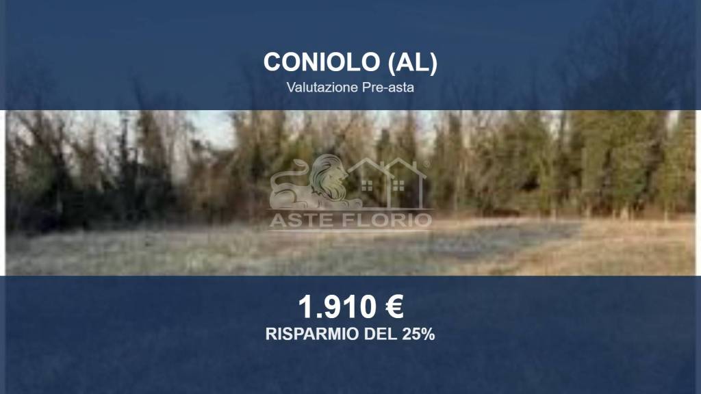 terreno edificabile in vendita a Coniolo