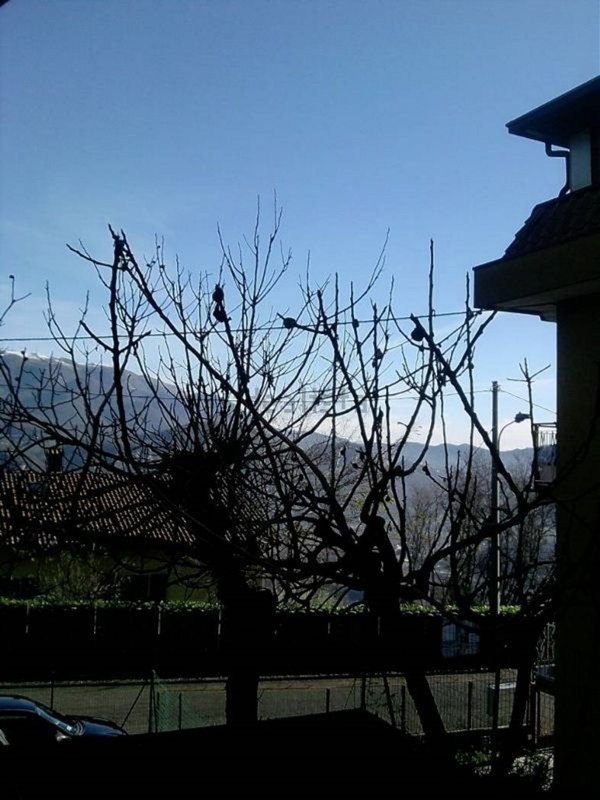 appartamento in vendita ad Airuno in zona Aizurro