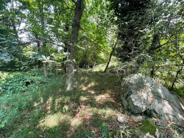terreno agricolo in vendita ad Annone di Brianza