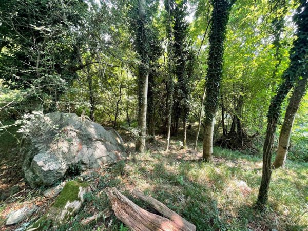 terreno agricolo in vendita ad Annone di Brianza