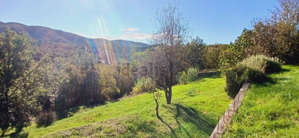 casa indipendente in vendita a Cremolino