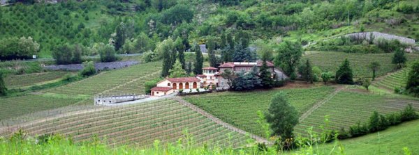 casa indipendente in vendita a Cremolino in zona Crosio