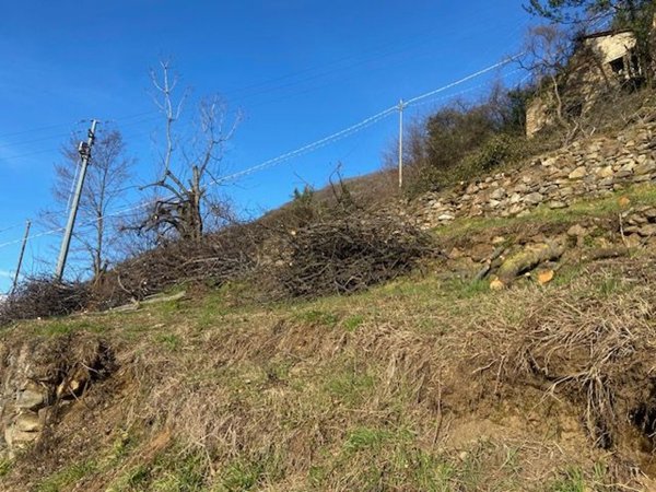 terreno agricolo in vendita a Bellano