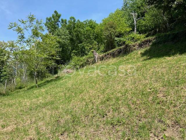 terreno agricolo in vendita a Bellano in zona Oro