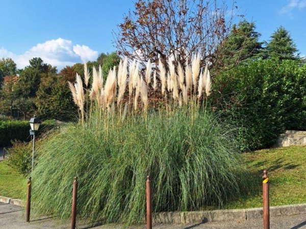 appartamento in vendita a Bosisio Parini