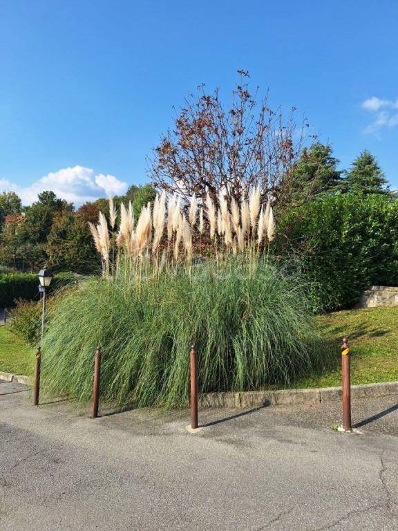 appartamento in vendita a Bosisio Parini