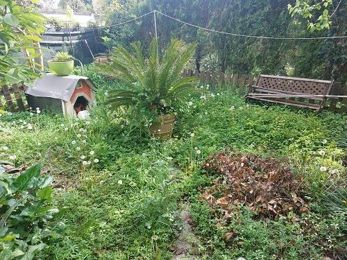 appartamento in vendita a Calco