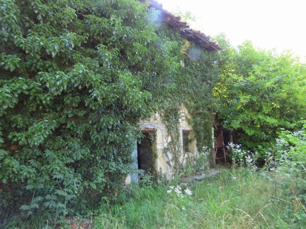 terreno edificabile in vendita a Carenno