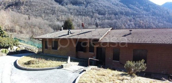 immagine annuncio 0 di 15