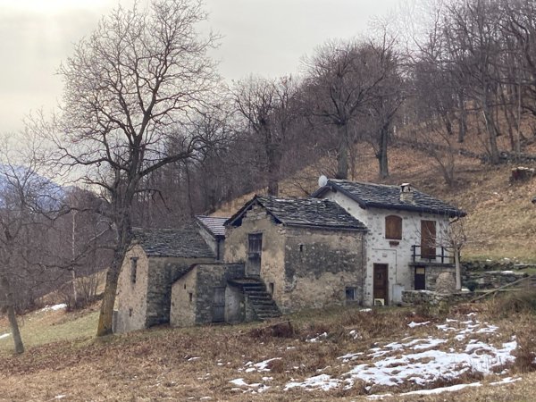 pentavano in vendita a Casargo