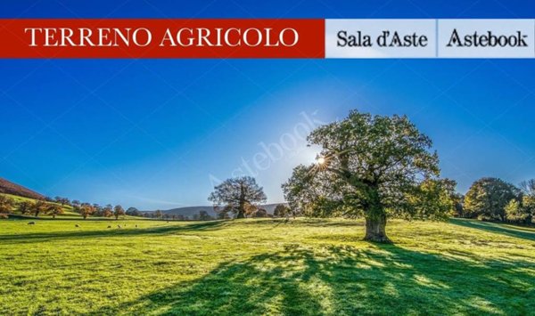 appartamento in vendita a Casatenovo