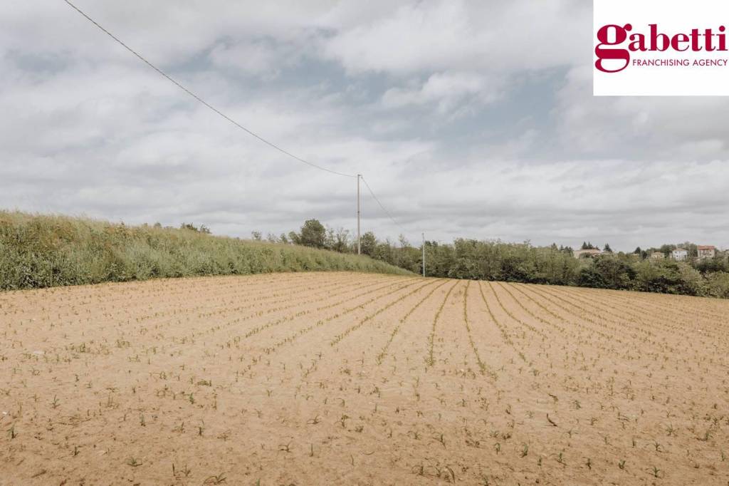 terreno agricolo in vendita a Casatenovo