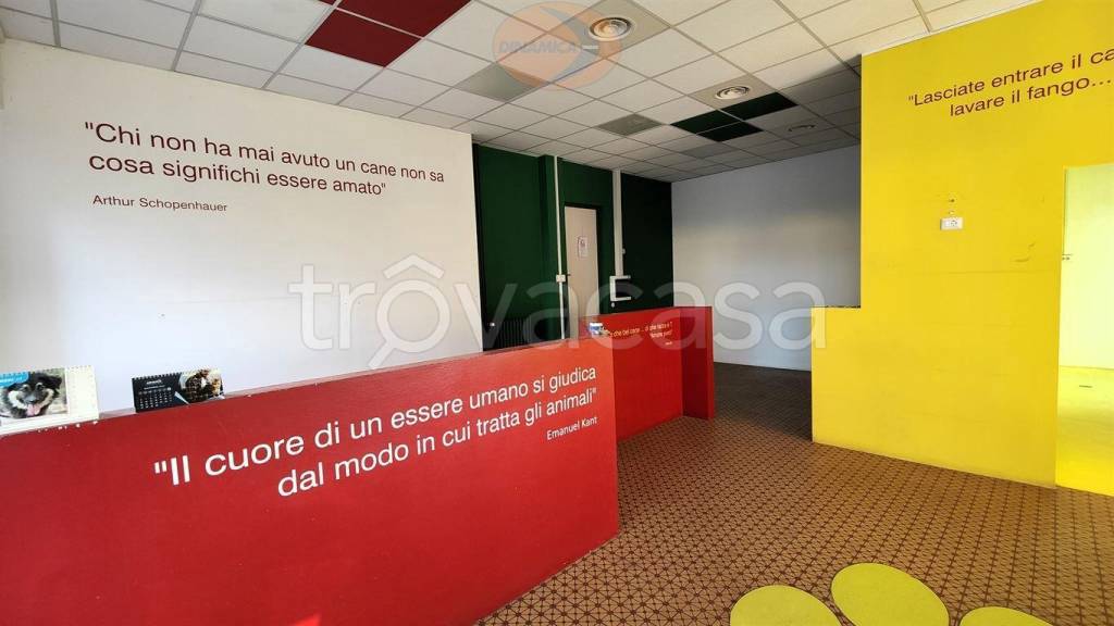 negozio in vendita a Casatenovo