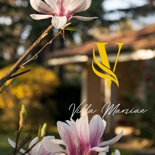 casa indipendente in vendita a Casatenovo