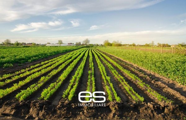 terreno agricolo in vendita a Cassago Brianza