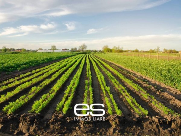 terreno agricolo in vendita a Cassago Brianza