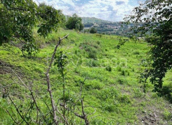 terreno agricolo in vendita a Castello di Brianza in zona Brianzola