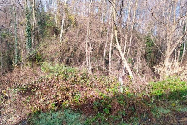 terreno agricolo in vendita a Castello di Brianza