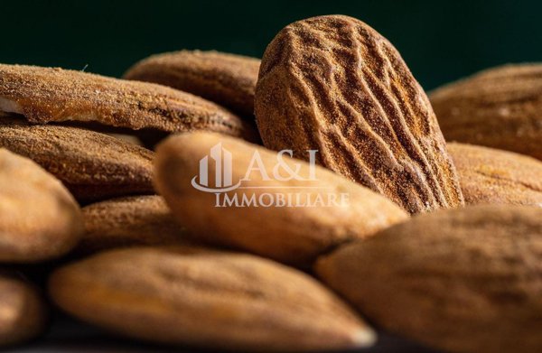 appartamento in vendita a Cernusco Lombardone