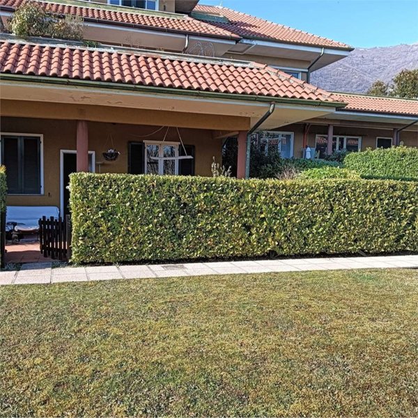 appartamento in vendita a Cesana Brianza