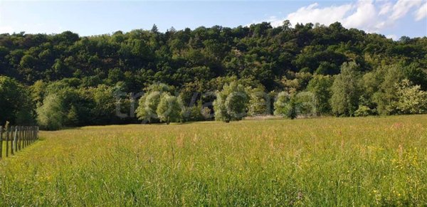 terreno agricolo in vendita a Colico in zona Olgiasca