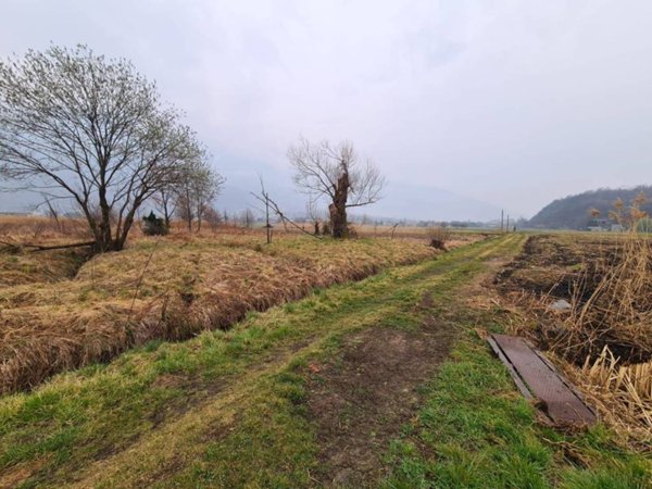 terreno agricolo in vendita a Colico