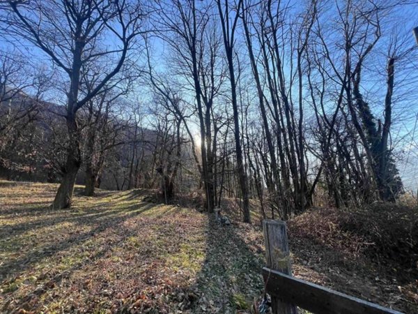 terreno agricolo in vendita a Colico