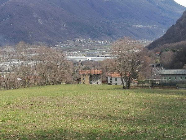 terreno agricolo in vendita a Colico in zona Curcio