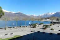 immagine annuncio 0 di 8