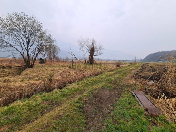 casa indipendente in vendita a Colico