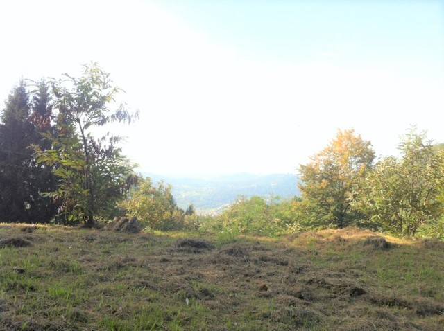 terreno agricolo in vendita a Colle Brianza in zona Giovenzana