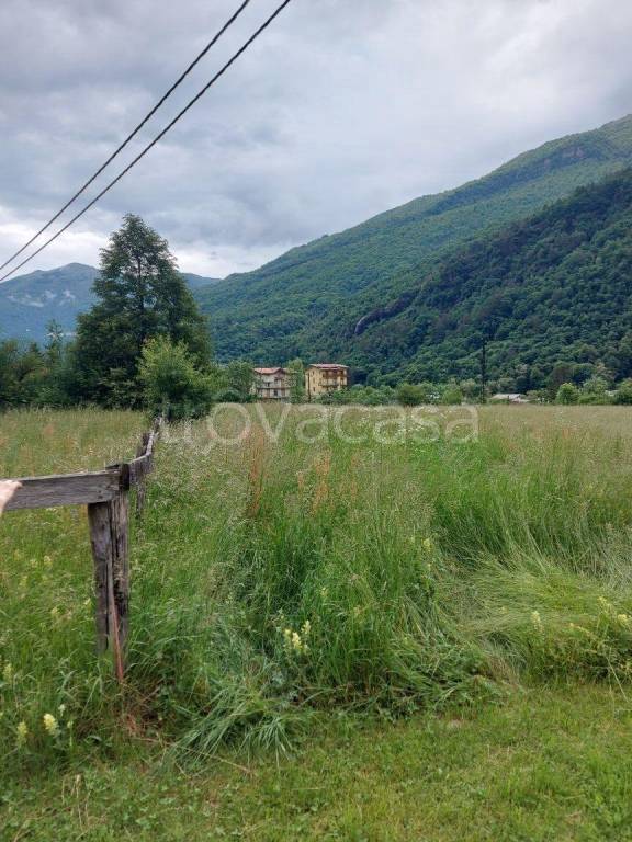 terreno agricolo in vendita a Cortenova
