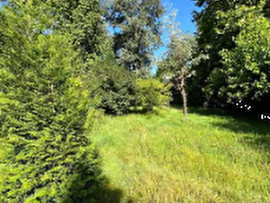 terreno agricolo in vendita a Costa Masnaga