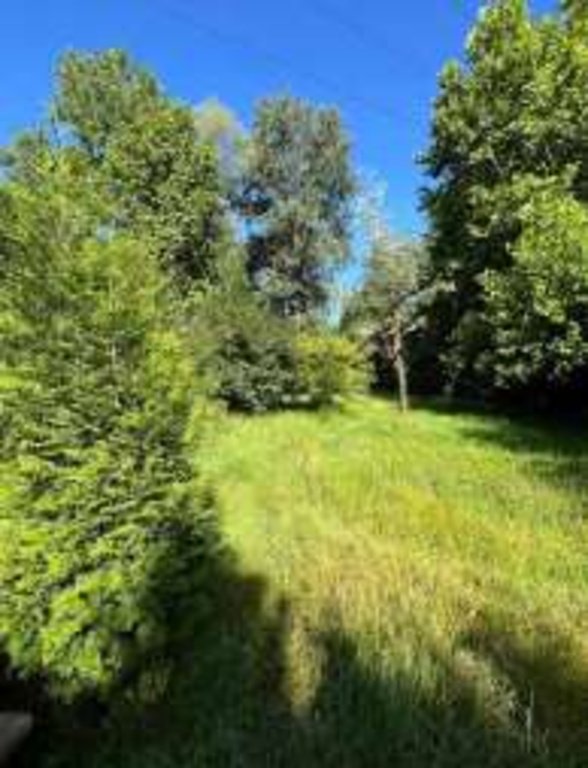 terreno agricolo in vendita a Costa Masnaga