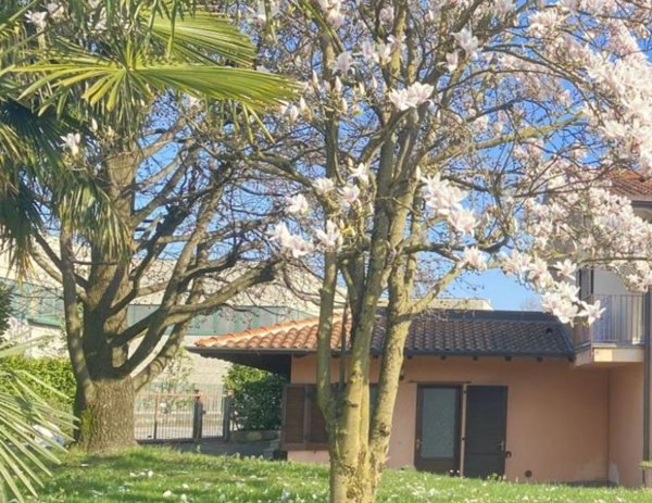 appartamento in vendita a Costa Masnaga